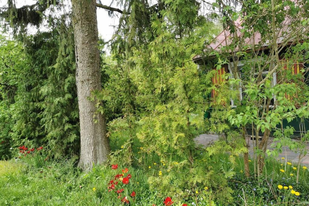 Buglandia Villa Parosla Buitenkant foto