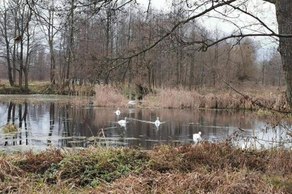 Buglandia Villa Parosla Buitenkant foto