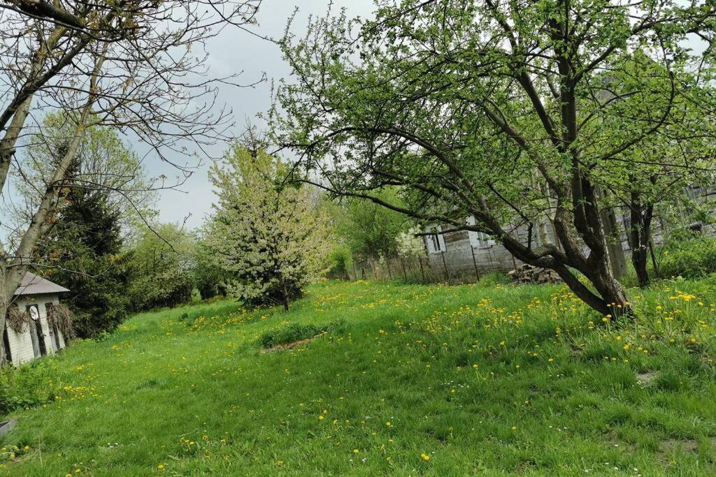 Buglandia Villa Parosla Buitenkant foto