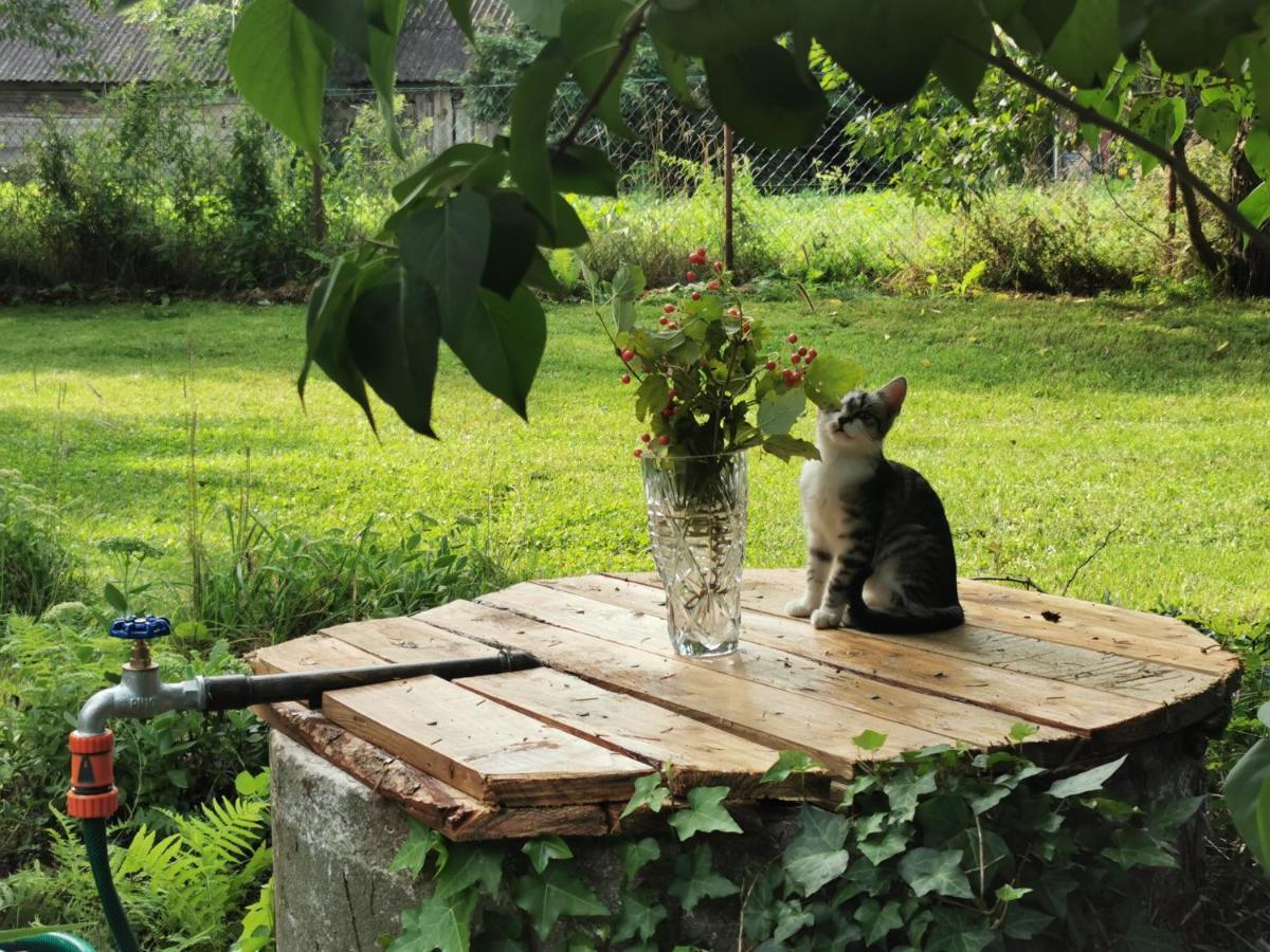 Buglandia Villa Parosla Buitenkant foto